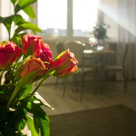 Sunny